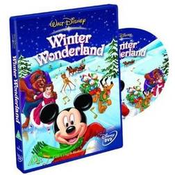 Winter Wonderland [DVD]